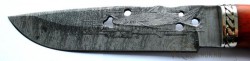 Нож  "Акула"  (дамасская сталь)  - IMG_3950.JPG