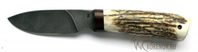Нож Бобр (дамасская сталь) серия Малыш вариант 3 


Общая длина мм::
206


Длина клинка мм::
100


Ширина клинка мм::
27.4


Толщина клинка мм::
2.7


