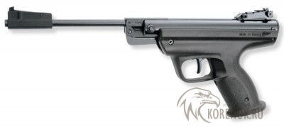 Пневматический пистолет Baikal MP-53M 

Калибр: 4,5 мм (.177) 

Тип: пружинно-поршневая пневматика (ППП) 

Тип боеприпасов: свинцовые пули 

Зарядность: однозарядная система 

Начальная скорость пули: 110 м/с 

Длина общая/ствола: 407 мм / 115 мм

