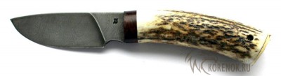 Нож Бобр (дамасская сталь) серия Малыш вариант 2 


Общая длина мм::
203


Длина клинка мм::
90


Ширина клинка мм::
28.2


Толщина клинка мм::
3.2


