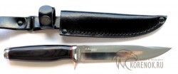 Нож Viking Nordway B249-34 (Хорь-2) (серия Витязь)    - Нож Viking Nordway B249-34 (Хорь-2) (серия Витязь)   