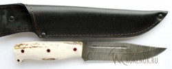 Нож Лось-2 (дамасская сталь) цельнометаллический вариант 2 - IMG_5392zv.JPG