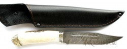 Нож Лось-2 (дамасская сталь, рог, мельхиор)  - IMG_5362.JPG