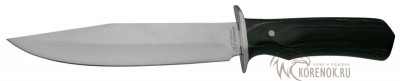 Нож  Viking Norway H223 Общая длина mm : 263Длина клинка mm : 150
Макс. ширина клинка mm : 31.5Макс. толщина клинка mm : 2.4