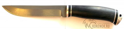 Нож Анчар  (литой булат)  


Общая длина мм::
262


Длина клинка мм::
141


Ширина клинка мм::
25


Толщина клинка мм::
3.5


