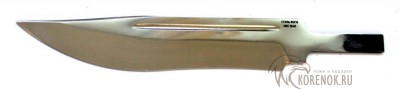 Клинок Алтайский (сталь 95Х18)  



Общая длина мм::
192


Длина клинка мм::
147


Ширина клинка мм::
27.8


Толщина клинка мм::
2.4




 