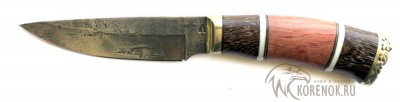 Нож НЛ-14 (х12мф ковка, венге, палисандр)   Общая длина mm : 265±10Длина клинка mm : 145±5.0Макс. ширина клинка mm : 34±2.0Макс. толщина клинка mm : 3.3