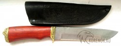 Нож "Клык"  (дамасская сталь, падук) - IMG_8407.JPG