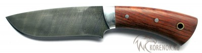 Нож цельнометаллический МТ 102 (дамасская сталь) Общая длина mm : 241
Длина клинка mm : 125Макс. ширина клинка mm : 39Макс. толщина клинка mm : 3.0