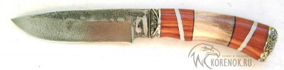 Нож НЛ-6 (Х12МФ ковка, лайсвуд, рог оленя)   Общая длина mm : 262±30Длина клинка mm : 146±15Макс. ширина клинка mm : 33±5.0Макс. толщина клинка mm : 3.0-4.0