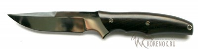 Нож Паук цельнометаллический (сталь D2) 


Общая длина мм::
257


Длина клинка мм::
130


Ширина клинка мм::
29


Толщина клинка мм::
3.2


