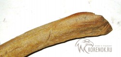 Костяной нож 7-8 век - IMG_0361_enl.jpg