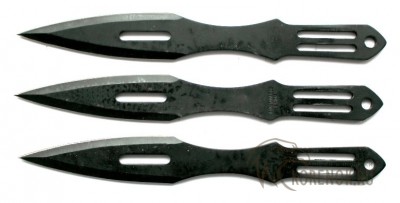 Набор метательных ножей С013-3  Общая длина мм::165
Длина клинка мм::70
Ширина клинка мм::21
Толщина клинка мм::3.0