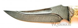 Нож Корсар (дамасская сталь, кость, мельхиор)  - IMG_4614hq.JPG