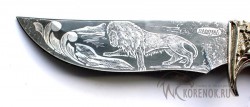 Нож Орлан  (сталь ХВ5 "Алмазка") - Нож Орлан  (сталь ХВ5 "Алмазка")