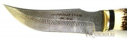 Нож Кенариус-т (дамасская сталь, составной) вариант 2 - IMG_3084.JPG