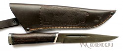 Нож Казак-1 (Венге, булат)  вариант 2 - IMG_33839k.JPG