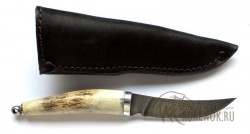 Нож "Клык" (дамасская сталь) серия "Малыш"  - IMG_7181ym.JPG