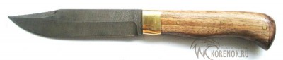 Нож &quot;Баракуда&quot; цельнометаллический (дамасская сталь)   
Общая длина mm : 240-260Длина клинка mm : 130-150Макс. ширина клинка mm : 28-32
Макс. толщина клинка mm : 3.0-5.0
